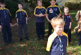 Cub Footer Picture 1