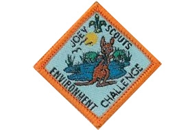 Environment Challenge Badge
