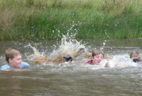 Scout Footer Picture 1